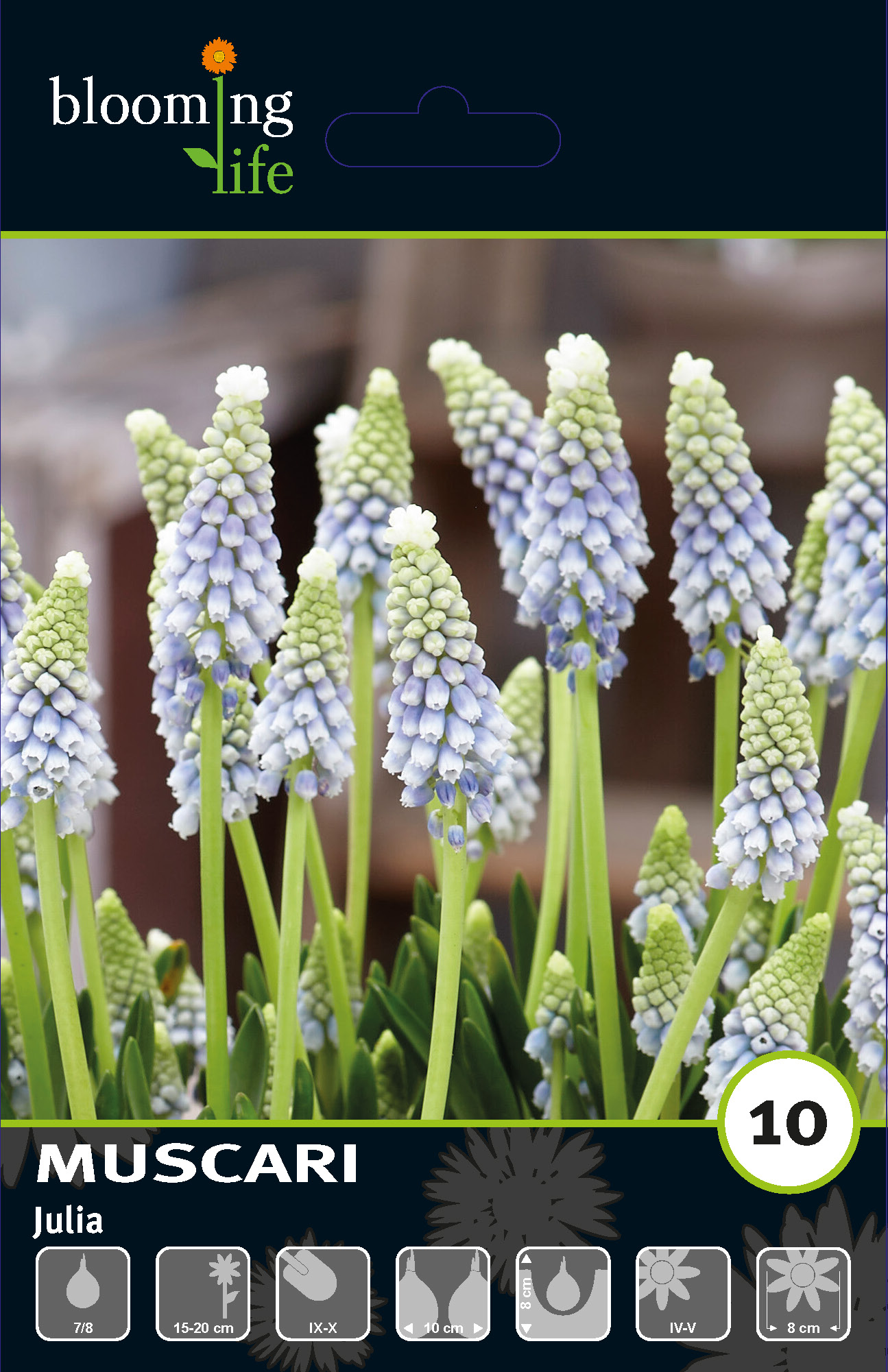 Мускари Джулия